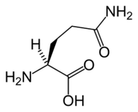 L-glutaminas Keto dietoje
